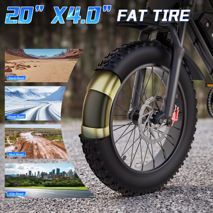 ZorixBike M9 Hydraulic Brake E-Bike, 48V 20Ah Battery, 20x4.0 Fat Tire Electric Bike